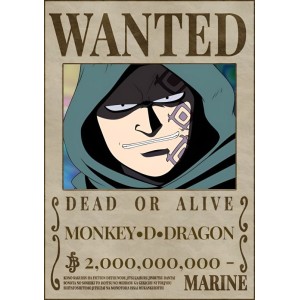 Placa Decorativa OnePiece Wanted Monkey